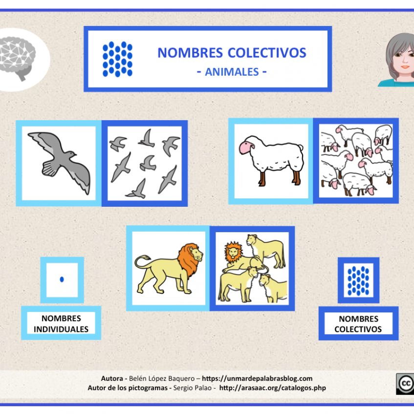 Nombres colectivos - Pictoeduca