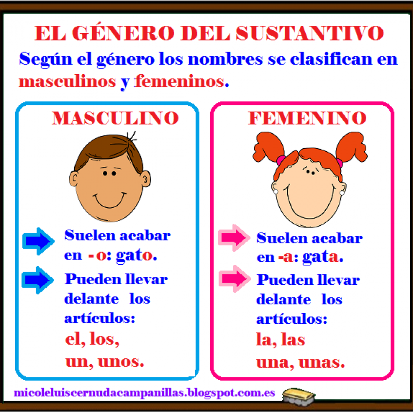 Los PequeÑos Califas De 2ºb El GÉnero De Los Nombres Masculino Y Femenino 1859