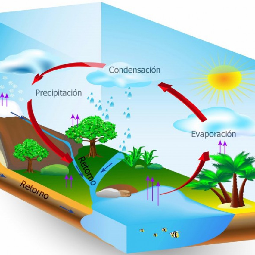 ciclo del agua dibujo