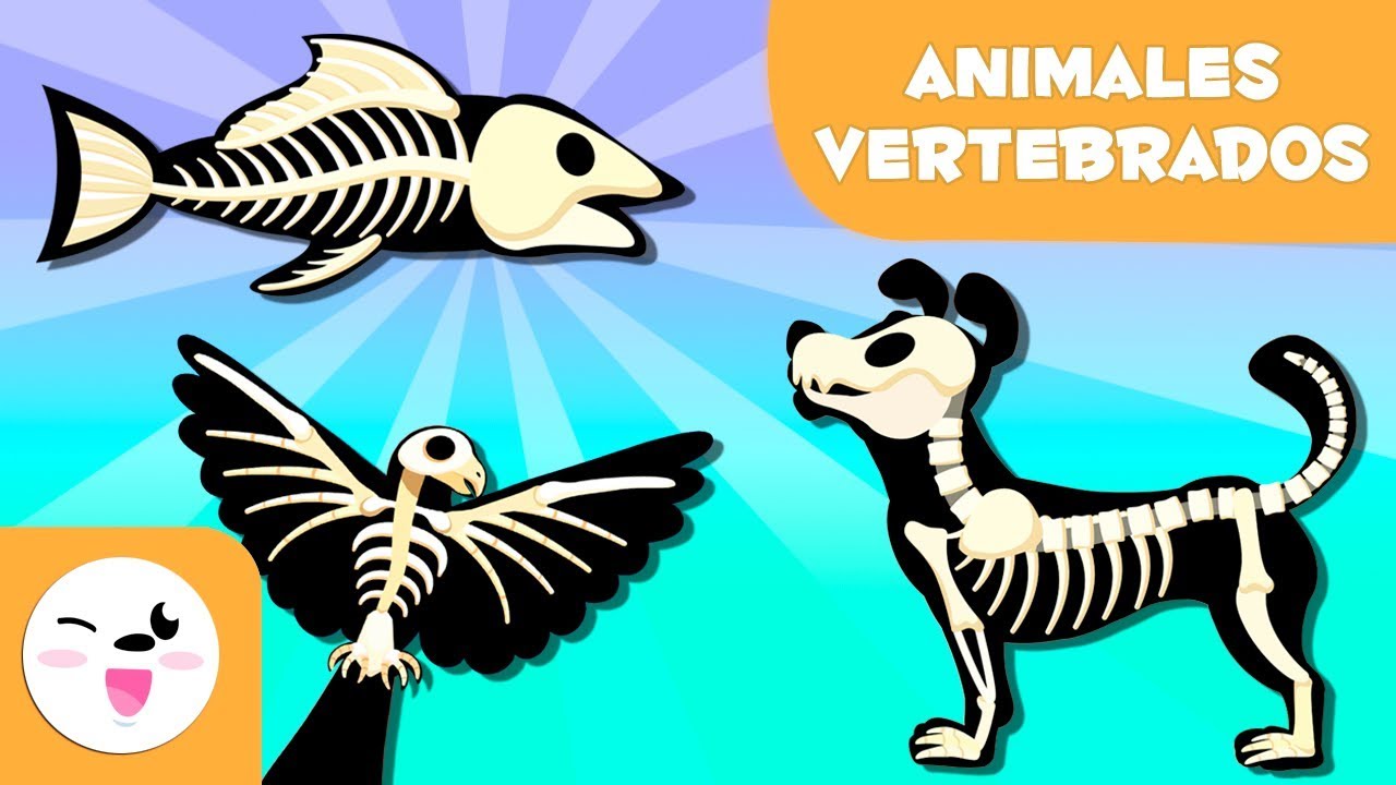 Animales vertebrados e invertebrados - Pictoeduca